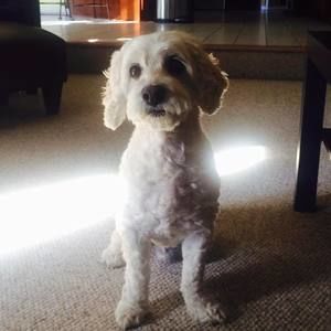 Meet your Posher, Ellie